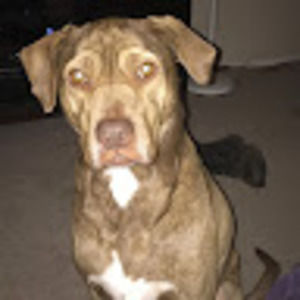 Meet your Posher, Jeffrey